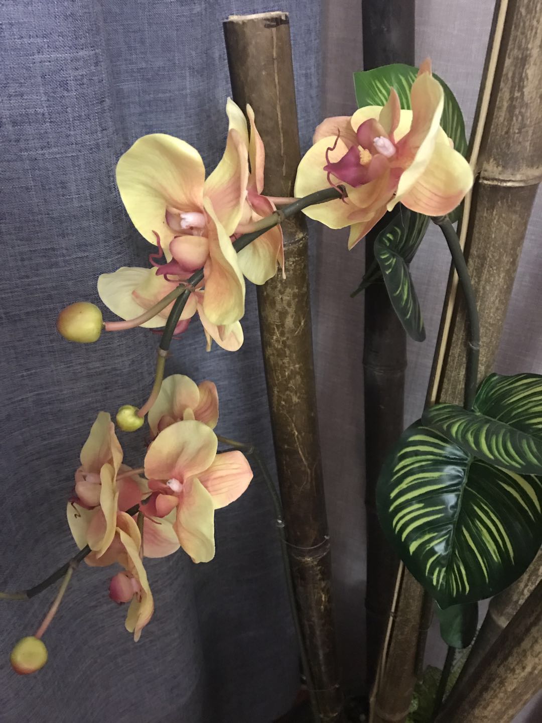 讲讲我在丰台区足道,本地最受欢迎的男士SPA会所